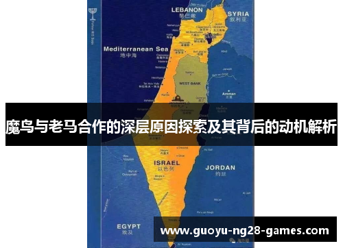 魔鸟与老马合作的深层原因探索及其背后的动机解析 魔鸟与老马合作的深层原因探索及其背后的动机解析