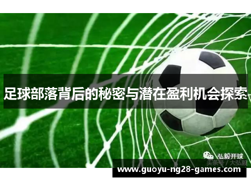 足球部落背后的秘密与潜在盈利机会探索 足球部落背后的秘密与潜在盈利机会探索