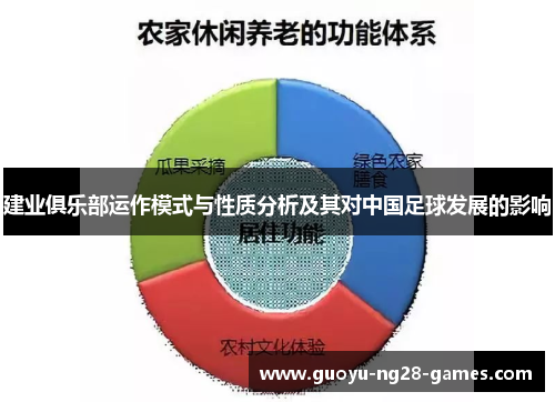 建业俱乐部运作模式与性质分析及其对中国足球发展的影响 建业俱乐部运作模式与性质分析及其对中国足球发展的影响